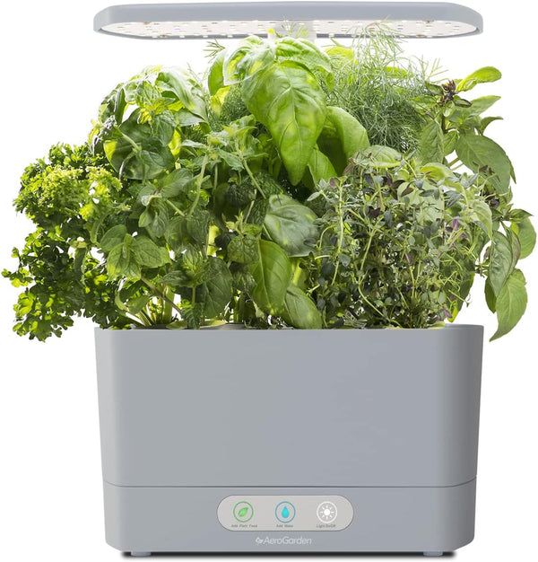 Herb Garden Delight