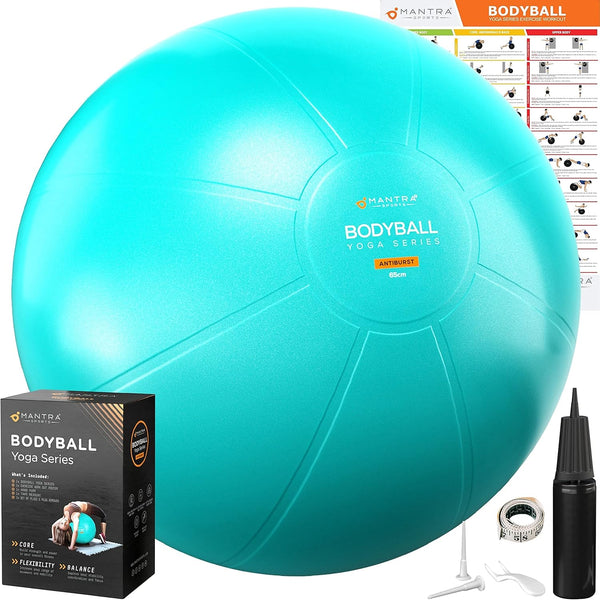 The Perfect Fitness Ball